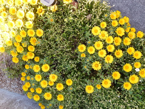 DSCN0270