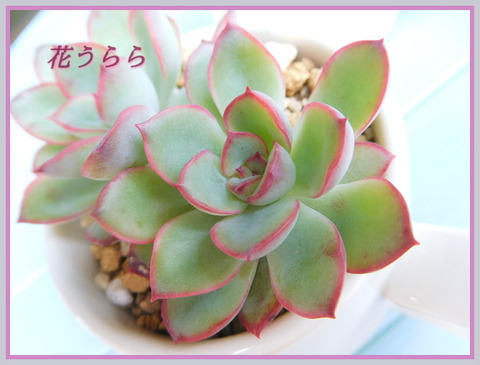 DSCN9897[1]
