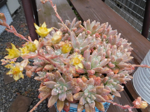 DSCN0124