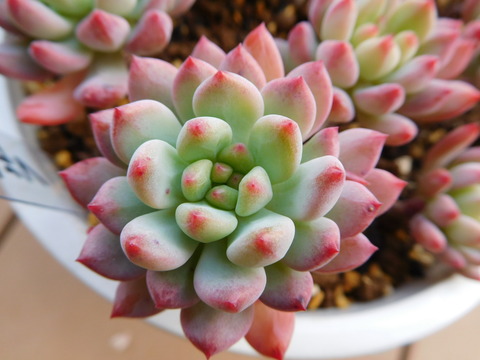 DSCN1092
