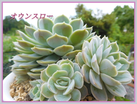 DSCN9911[1]