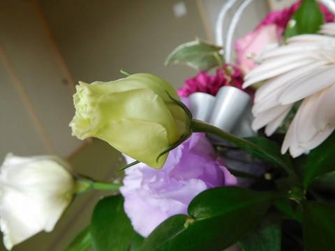 DSCN3688