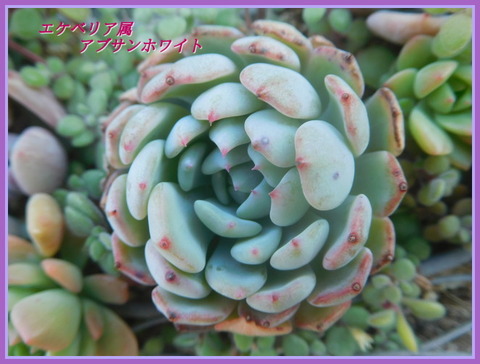 DSCN1822