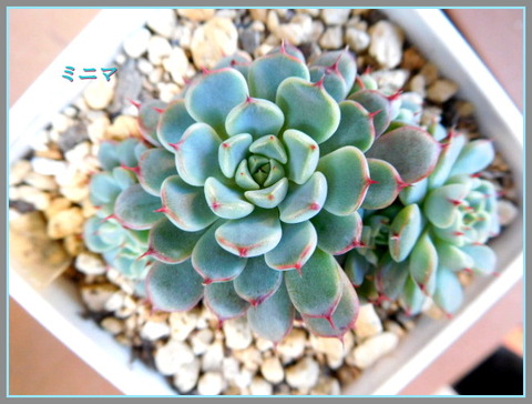 DSCN9954[3]