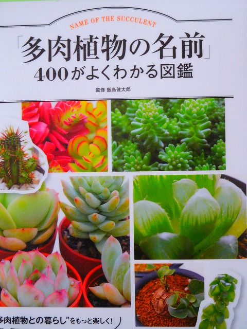 DSCN0201