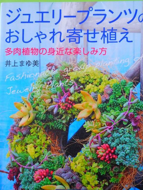 DSCN0197