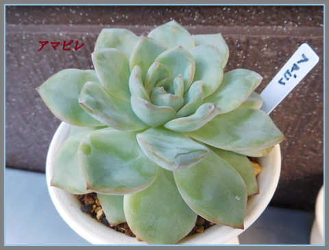 DSCN0312[4]