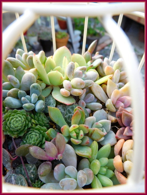 DSCN1373
