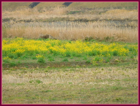 DSCN0066