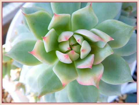 DSCN0483
