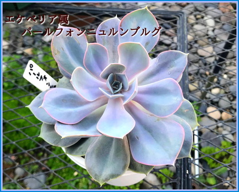 IMG_8406 (1)