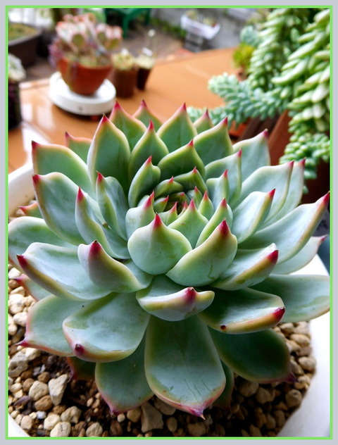 DSCN9805