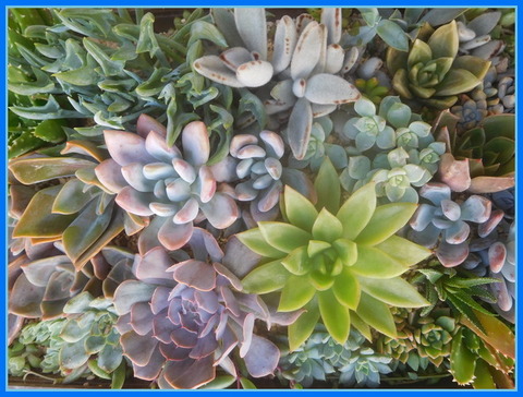 DSCN9922