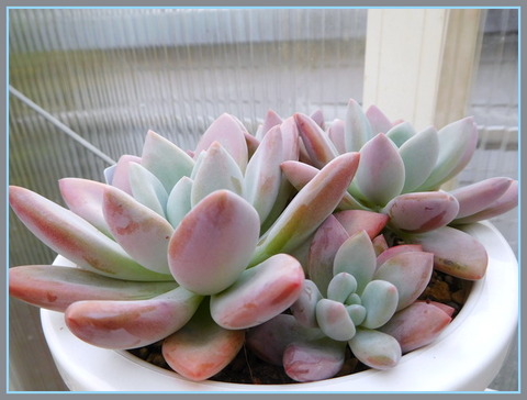 DSCN9925[1]
