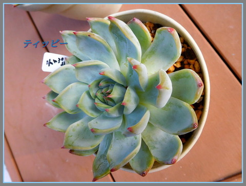 DSCN9887