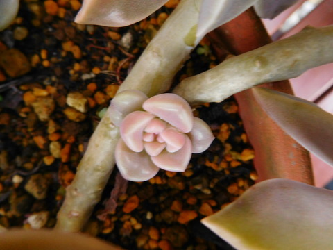DSCN0379