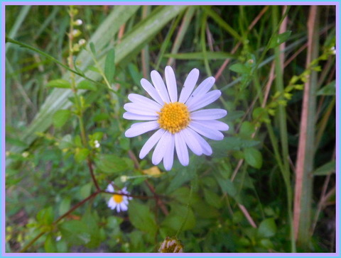 DSCN9927