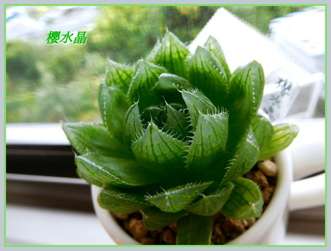 DSCN1260