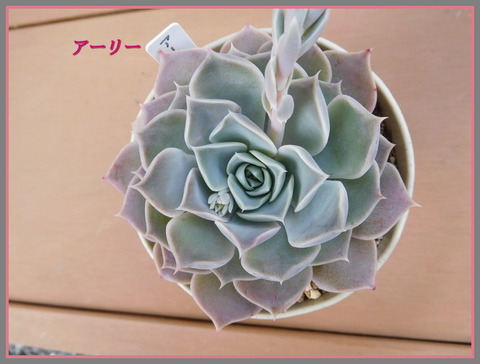 DSCN1036[1]