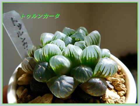 DSCN1247