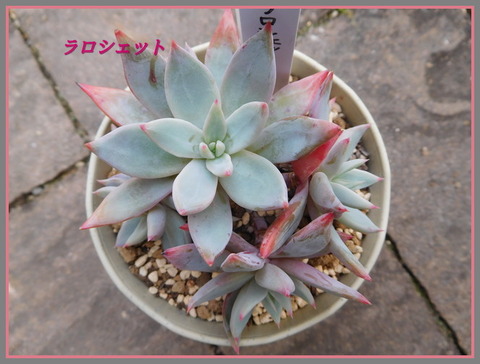 DSCN1035[1]