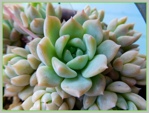 DSCN0460[1]