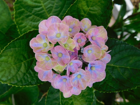 DSCN0180
