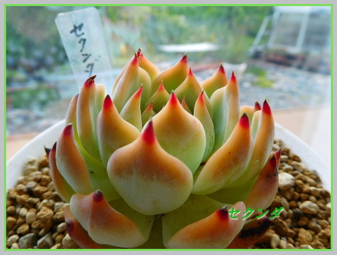 DSCN1120