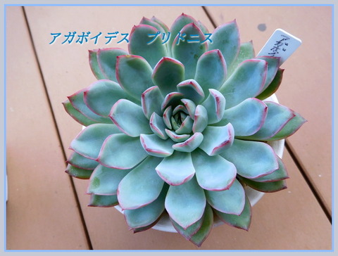 DSCN0135[2]