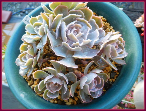DSCN0080