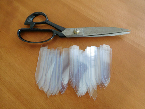 DSCN9856