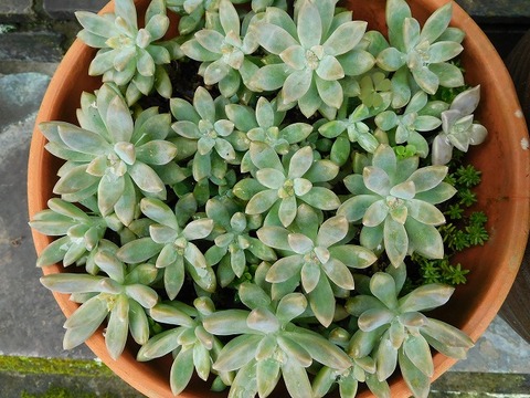 DSCN2269