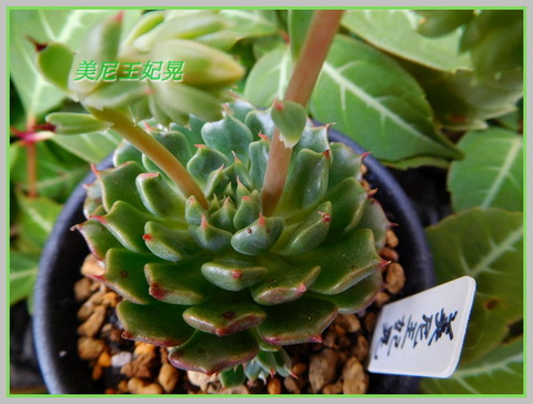 DSCN0487[1]