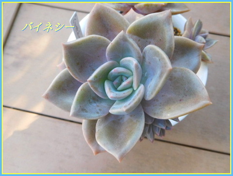 DSCN0269