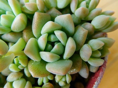DSCN5670