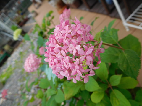 DSCN0177