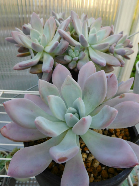 DSCN9847