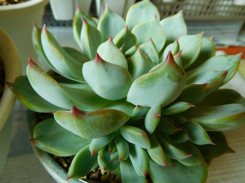 DSCN0139