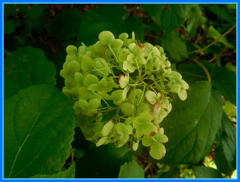 DSCN3883
