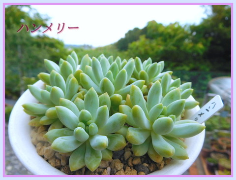 DSCN9913[1]