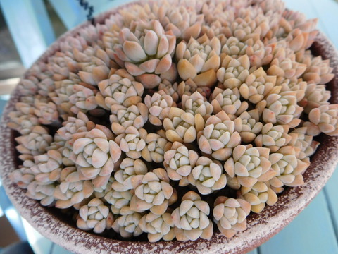 DSCN1637