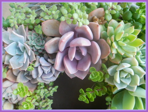 DSCN2182
