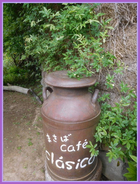 DSCN2253