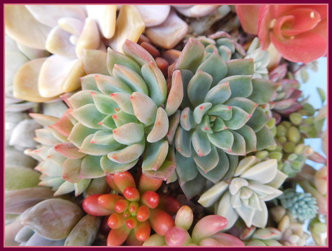 DSCN0035
