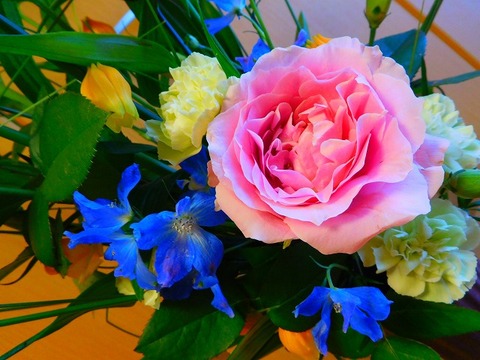 DSCN1501