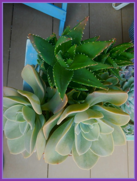 DSCN1776[2]