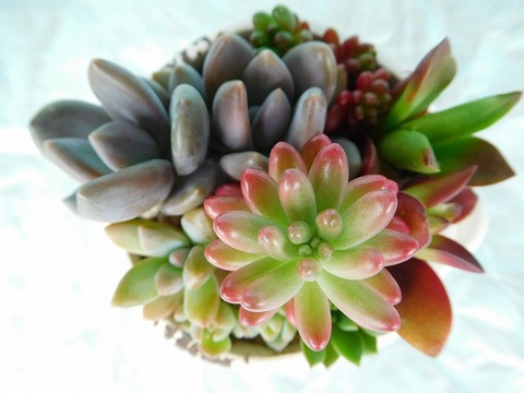 DSCN4839