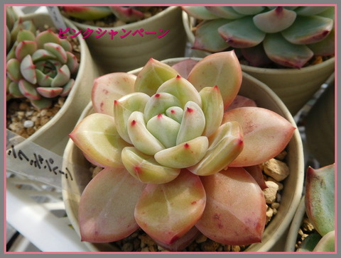 DSCN1043