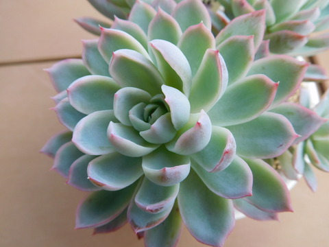 DSCN0316