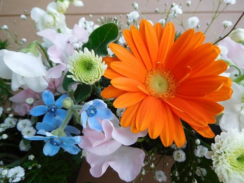 DSCN3824